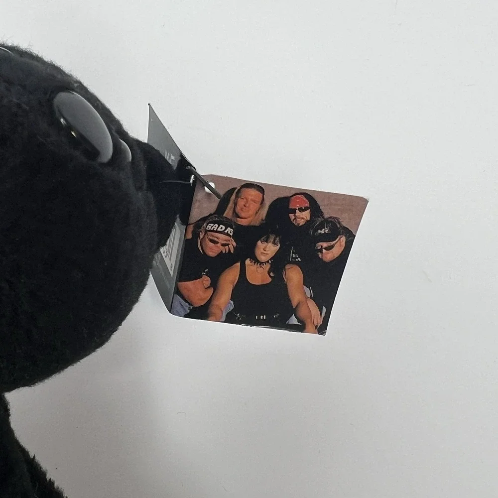 VTG 1999 WWF Attitude Bears Lot Of 4 With Tags Stone Cold Kane D-Generation X